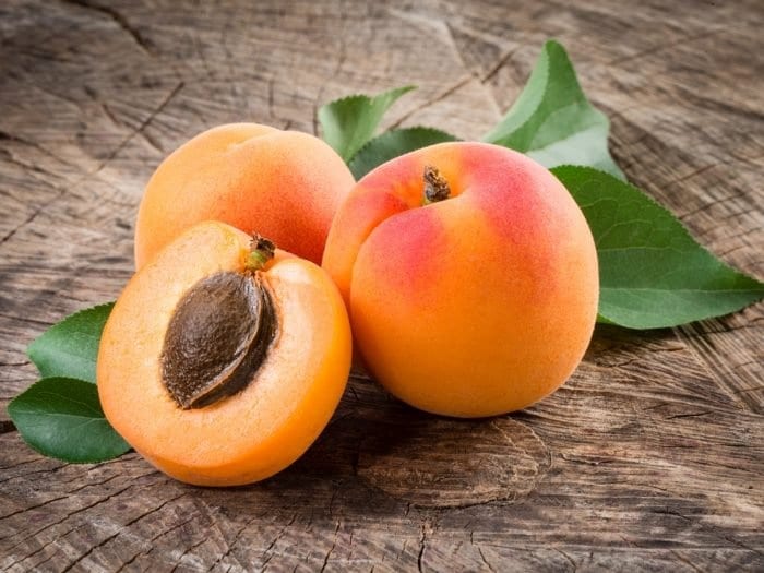 apricot-cyanide